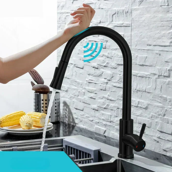 Kitchen faucet illustrating touchless operation