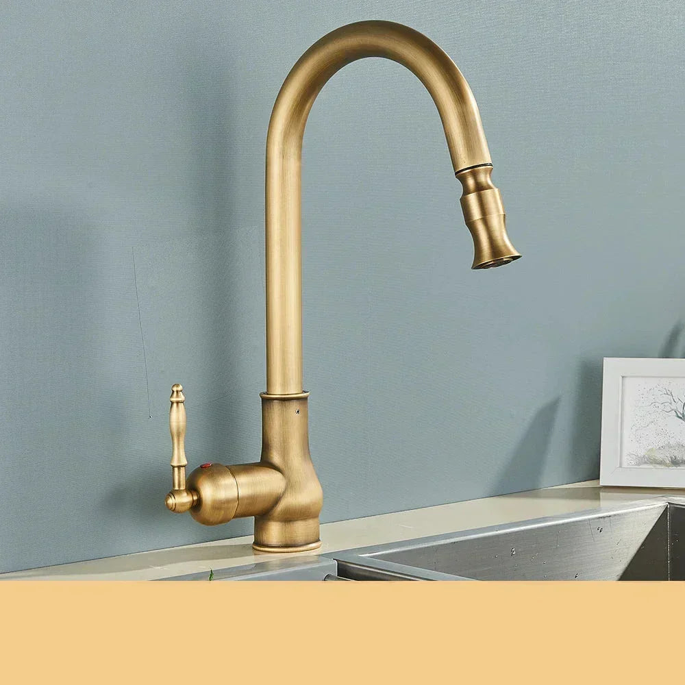 Elegant kitchen faucet with swivel spout