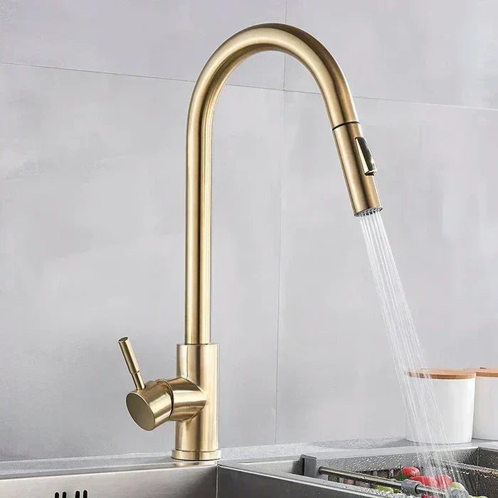 High Arc Chrome Kitchen Faucet with Pull-Down Spray
