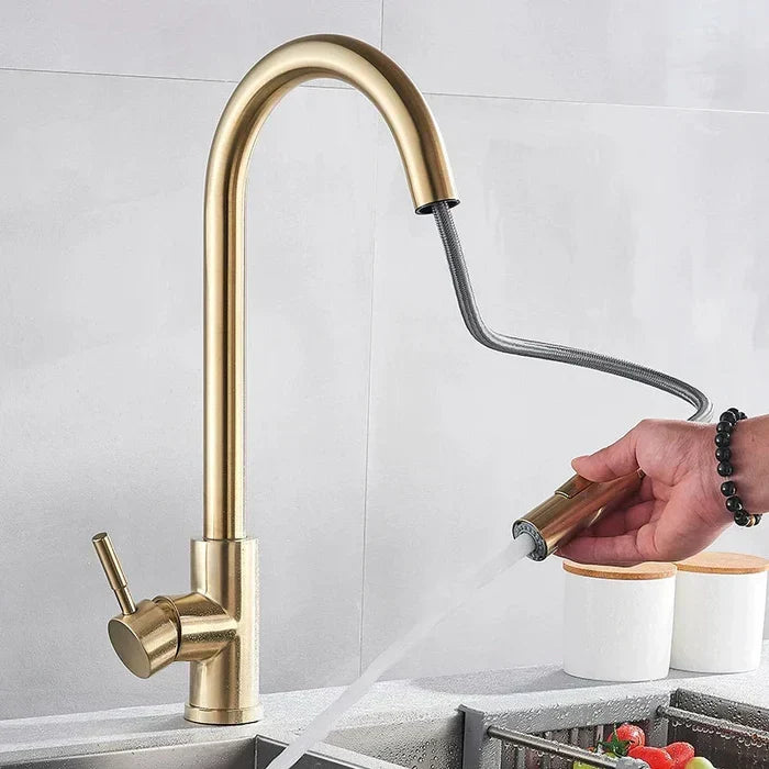 High Arc Chrome Kitchen Faucet with Pull-Down Spray