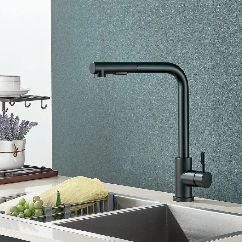 Modern Matte Black Kitchen Faucet with Pull-Out Spray