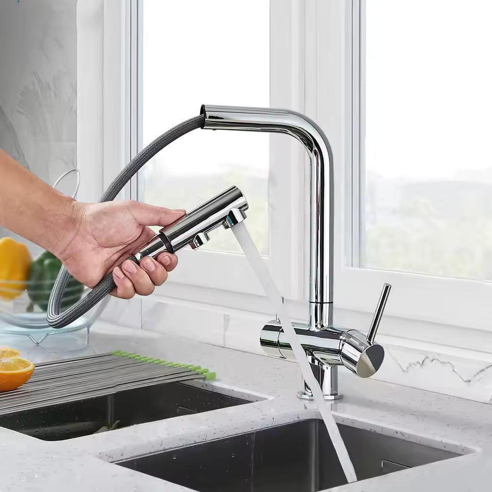 Modern Brushed Nickel Kitchen Faucet with Dual Spout