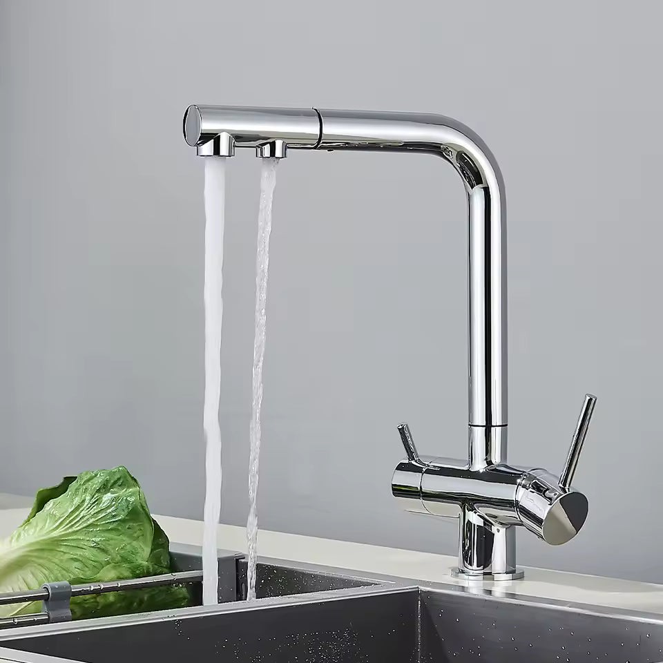 Modern Brushed Nickel Kitchen Faucet with Dual Spout
