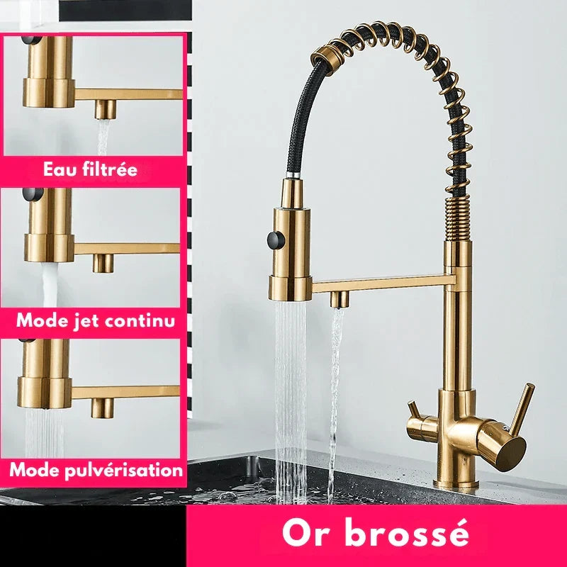 Black faucet with elegant brushed gold finish