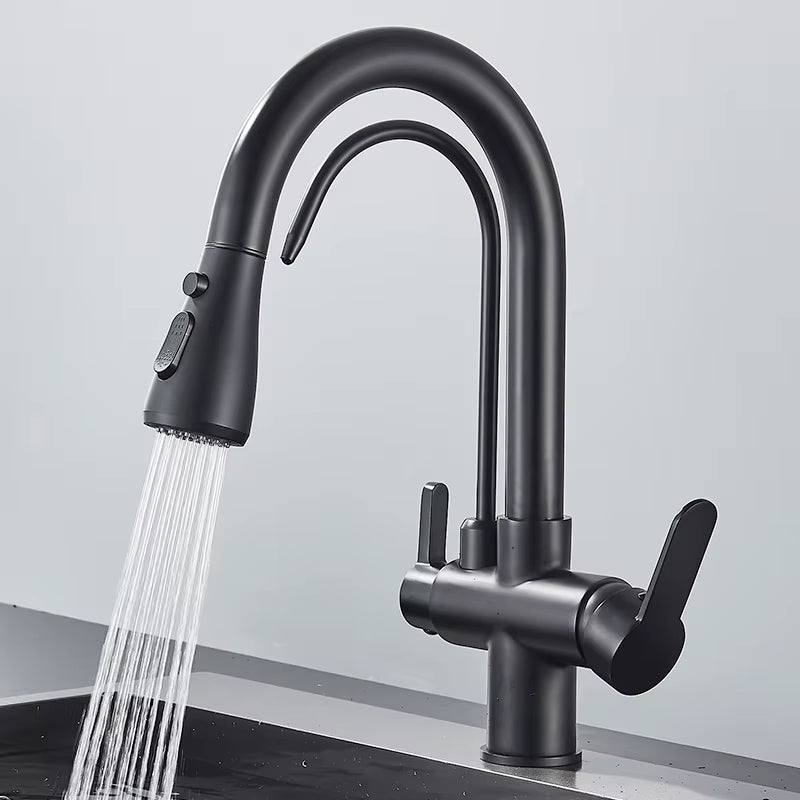 Matte Black Pull-Down Kitchen Faucet with Filter