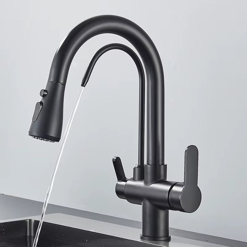 Matte Black Pull-Down Kitchen Faucet with Filter