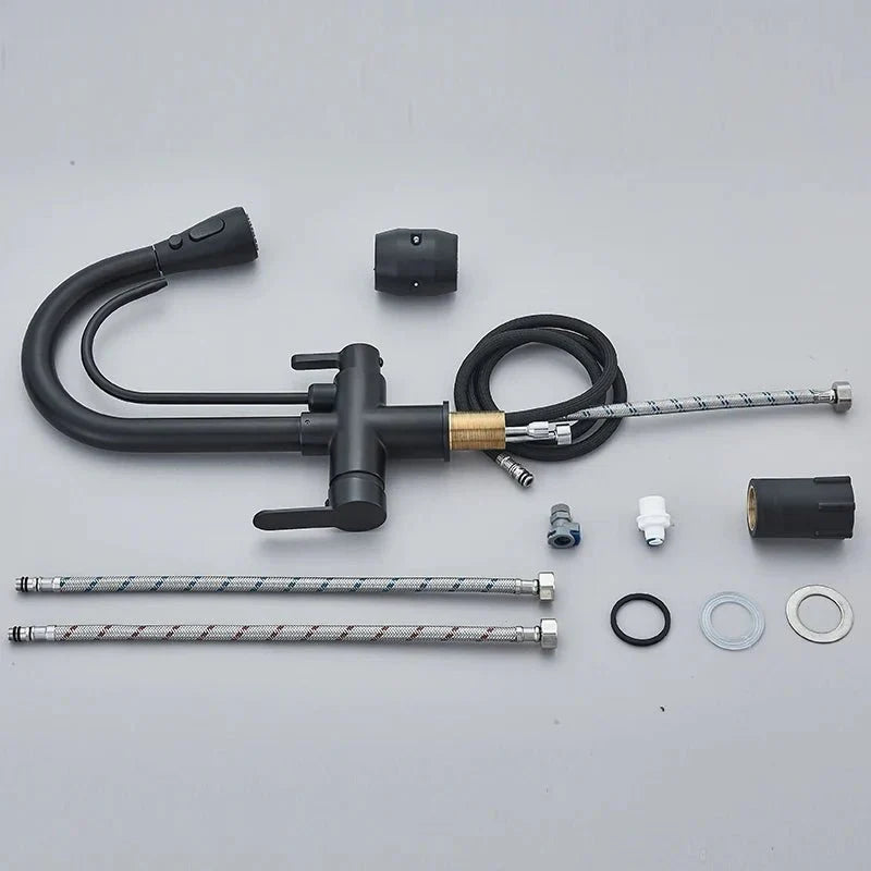 Matte Black Pull-Down Kitchen Faucet with Filter