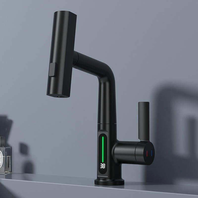 Detail of the swivel spout and retractable shower head