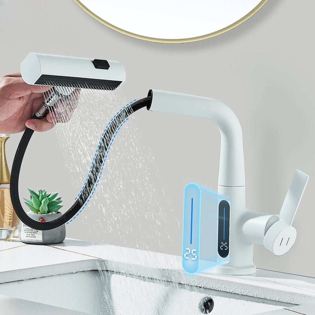 Modern Gunmetal Kitchen Faucet with Digital Temp