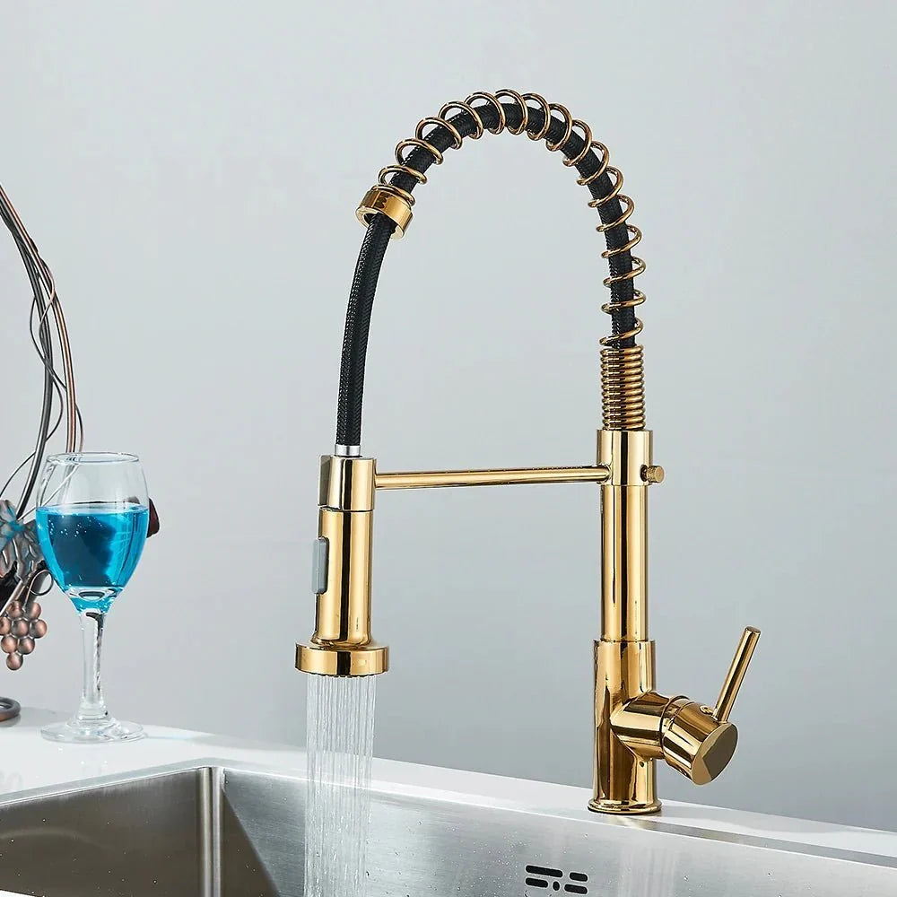 Modern Gold Kitchen Faucet with Black Coil Sprayer
