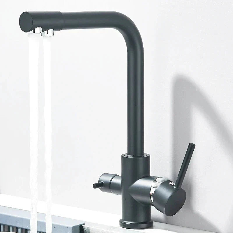Modern Matte Black Kitchen Faucet with Pull-Out Spray