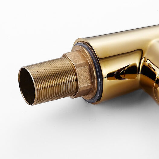 Gold and Black Pull-Down Kitchen Faucet with Flexible Spout