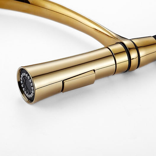 Gold and Black Pull-Down Kitchen Faucet with Flexible Spout