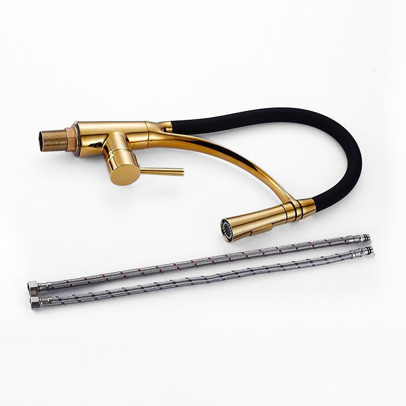 Gold and Black Pull-Down Kitchen Faucet with Flexible Spout