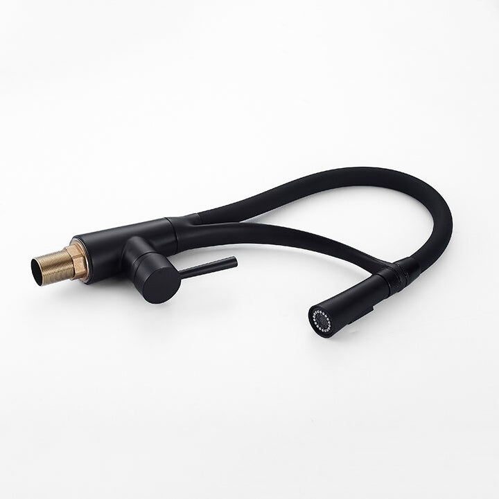 Modern Matte Black Kitchen Faucet with Flexible Sprayer