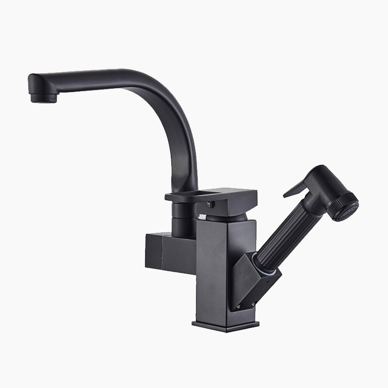 Modern Matte Black Gooseneck Kitchen Faucet with Sprayer