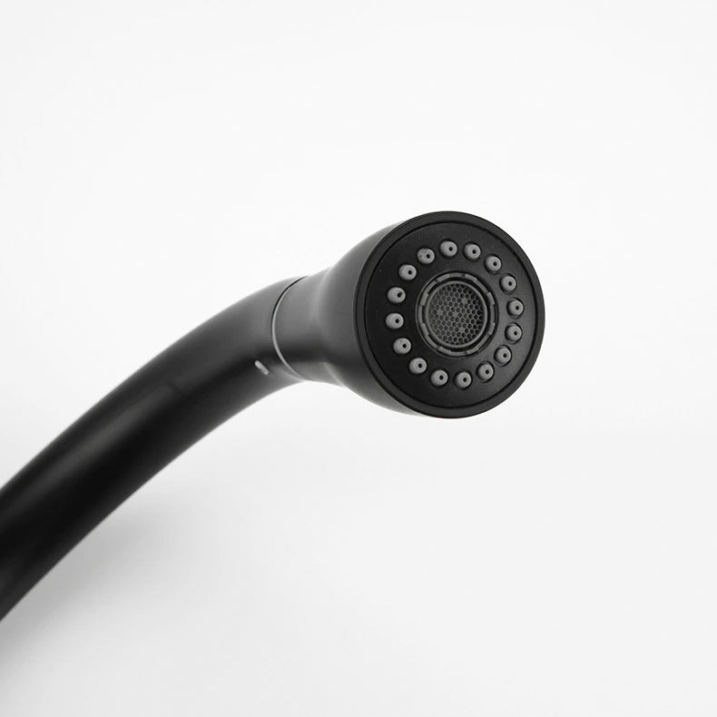 Matte Black Pull-Down Gooseneck Kitchen Faucet