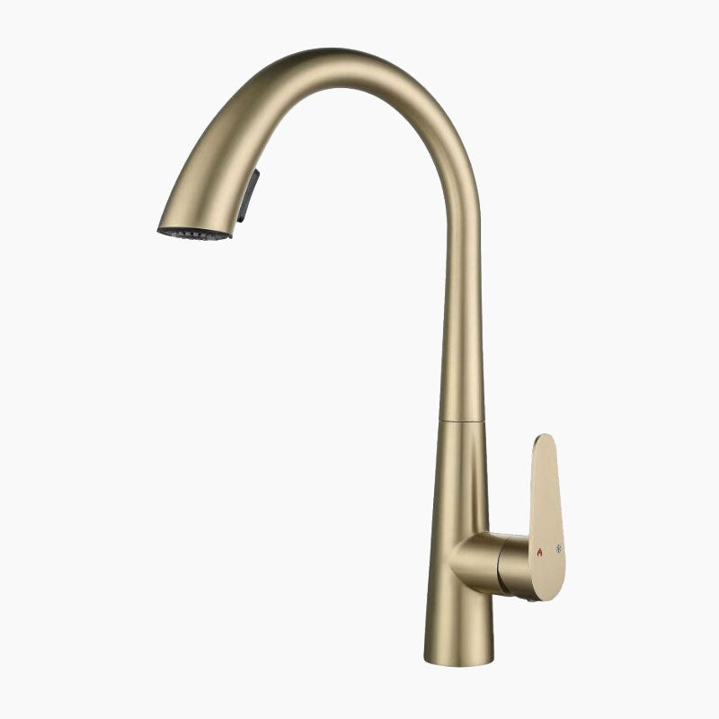 Brushed Gold High-Arc Kitchen Faucet with Pull-Down