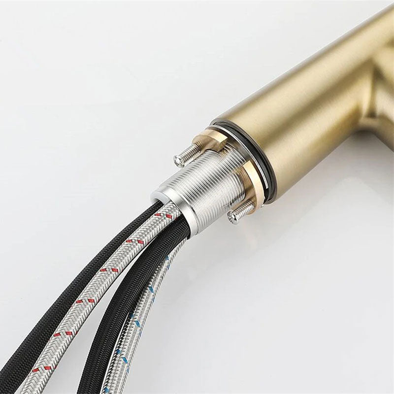 Brushed Gold High-Arc Kitchen Faucet with Pull-Down