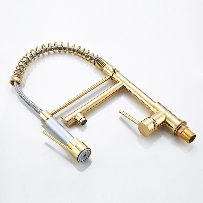 Gold Kitchen Faucet with Spring Coil and Pot Filler