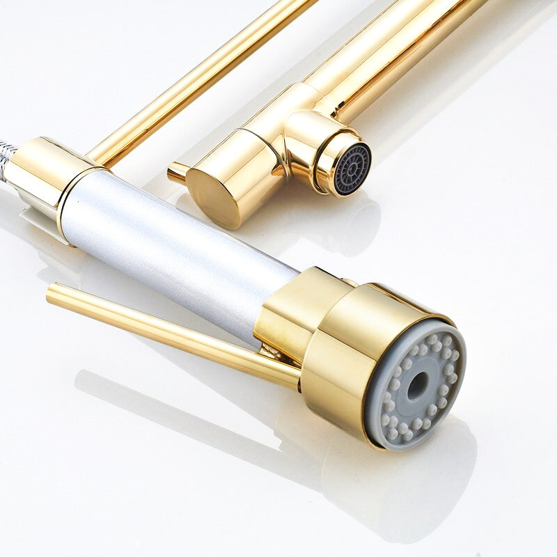 Gold Kitchen Faucet with Spring Coil and Pot Filler