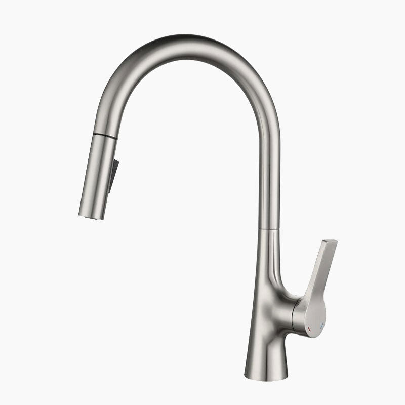Brushed Nickel Gooseneck Kitchen Faucet with Pull-Down