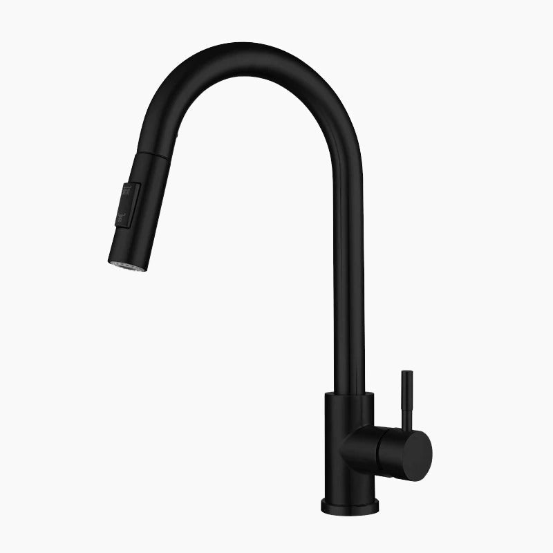 Matte Black Gooseneck Kitchen Faucet Pull-Down