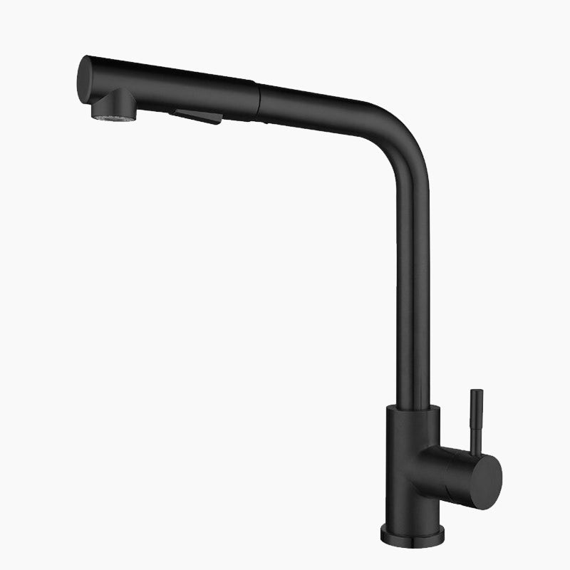 Matte Black Kitchen Faucet with Pull-Down Sprayer