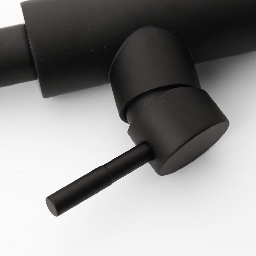 Matte Black Kitchen Faucet with Pull-Down Sprayer