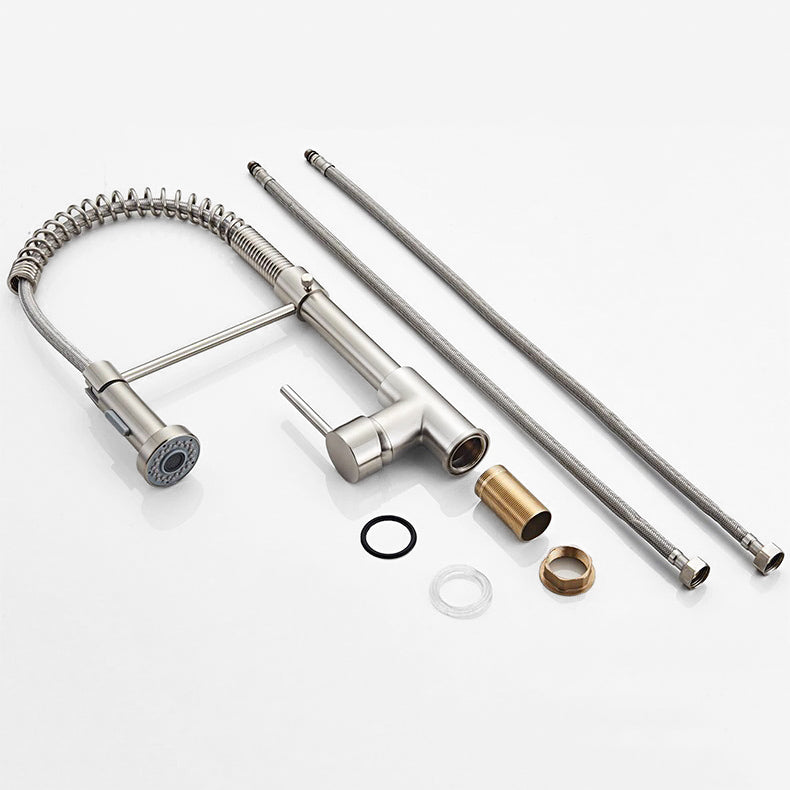High-Arc Brushed Nickel Pull-Down Faucet with Exposed Spring