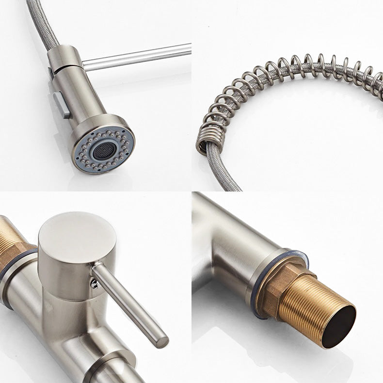 High-Arc Brushed Nickel Pull-Down Faucet with Exposed Spring