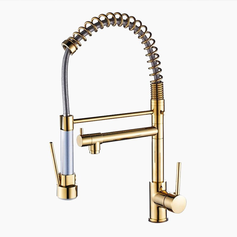 Gold Kitchen Faucet with Spring Coil and Pot Filler