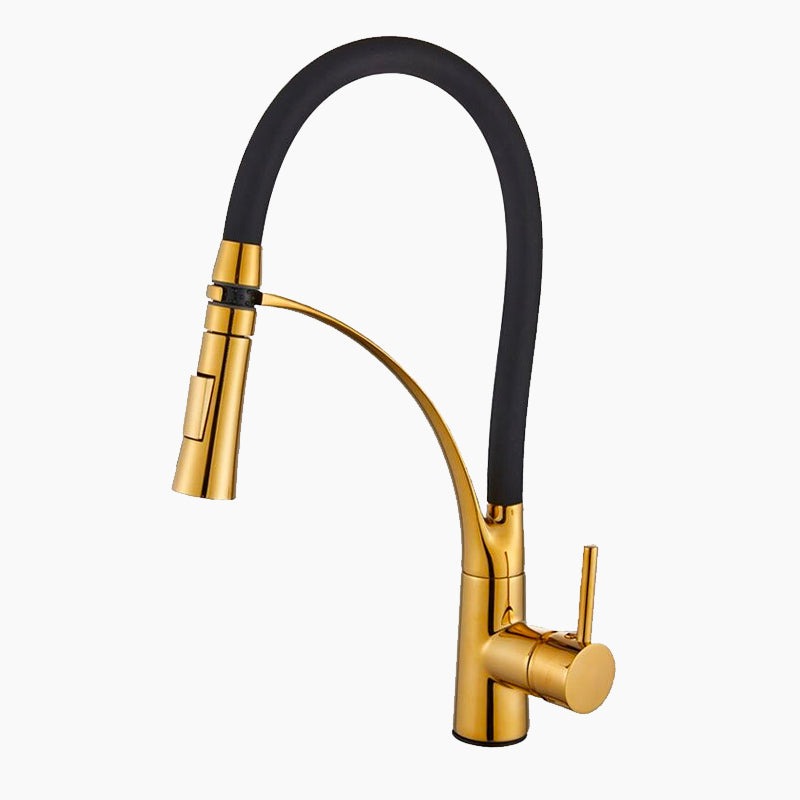 Gold and Black Pull-Down Kitchen Faucet with Flexible Spout