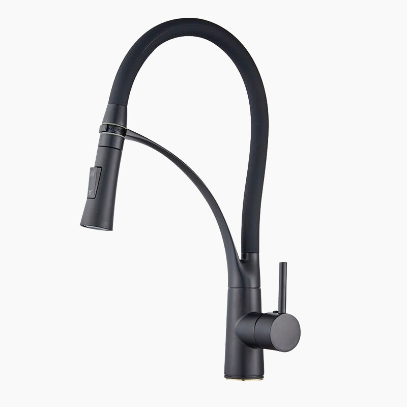 Modern Matte Black Kitchen Faucet with Flexible Sprayer