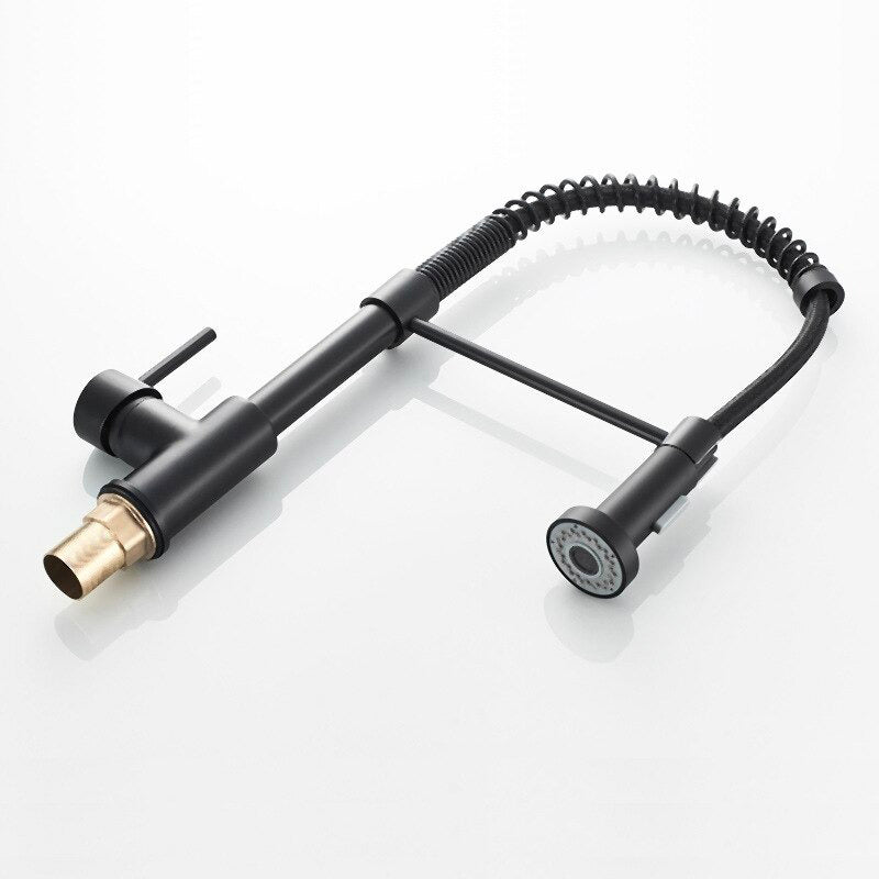 Modern Matte Black Spring Pull-Down Kitchen Faucet