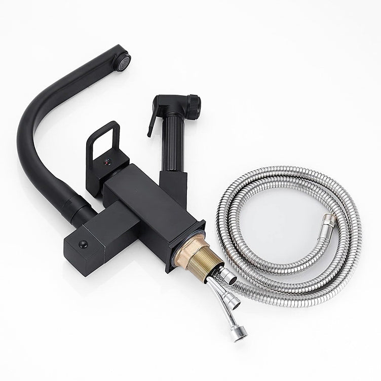 Modern Matte Black Gooseneck Kitchen Faucet with Sprayer