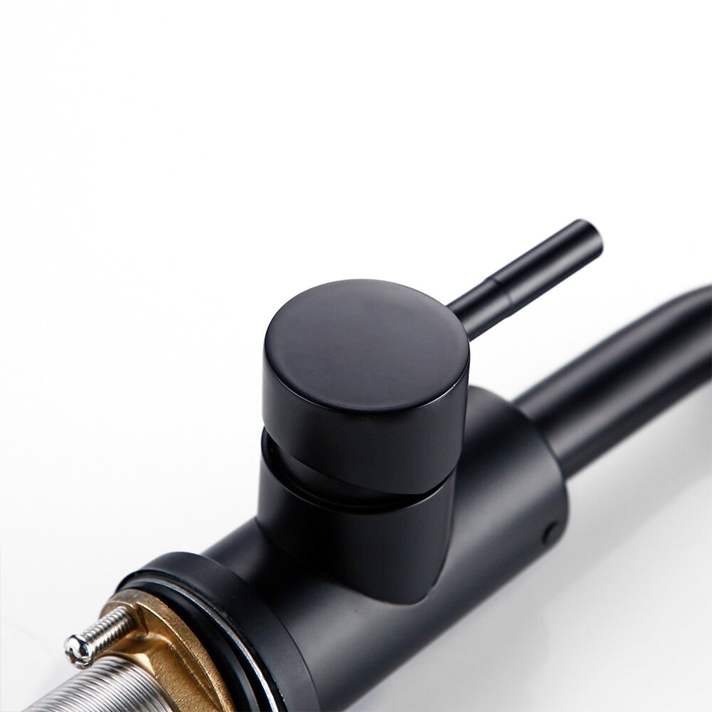 Modern Matte Black Single Lever Kitchen Faucet