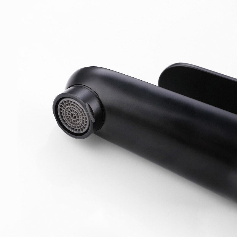 Matte Black Single Lever Basin Mixer
