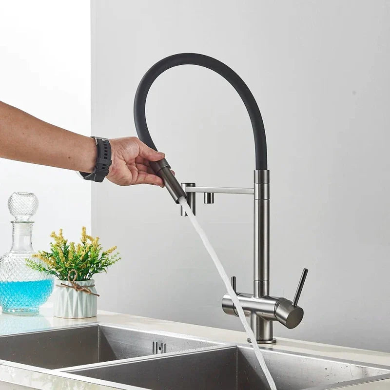 Brushed Nickel Kitchen Faucet with Flexible & Filter Tap