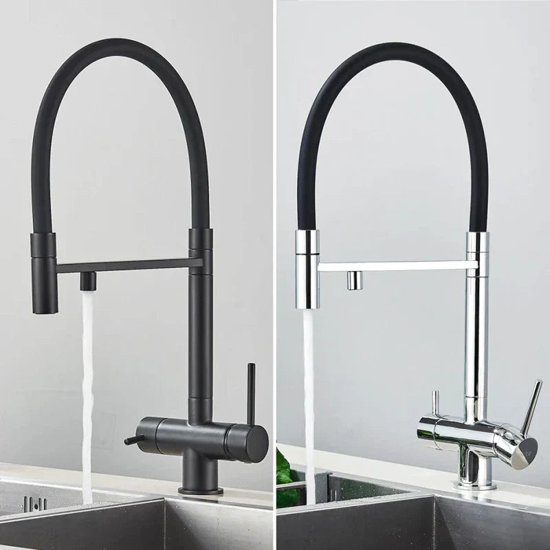 Brushed Nickel Kitchen Faucet with Flexible & Filter Tap