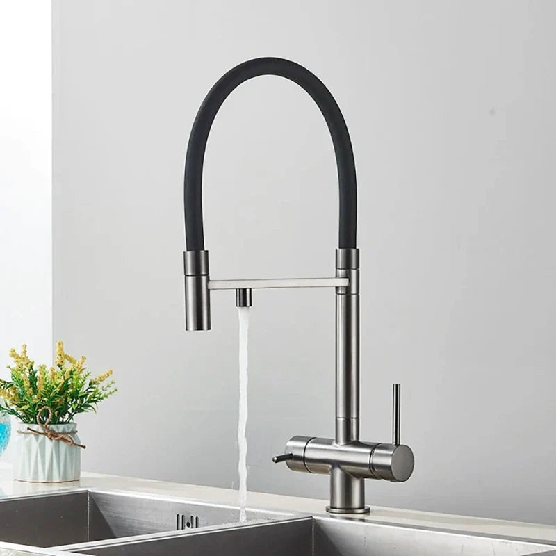 Brushed Nickel Kitchen Faucet with Flexible & Filter Tap