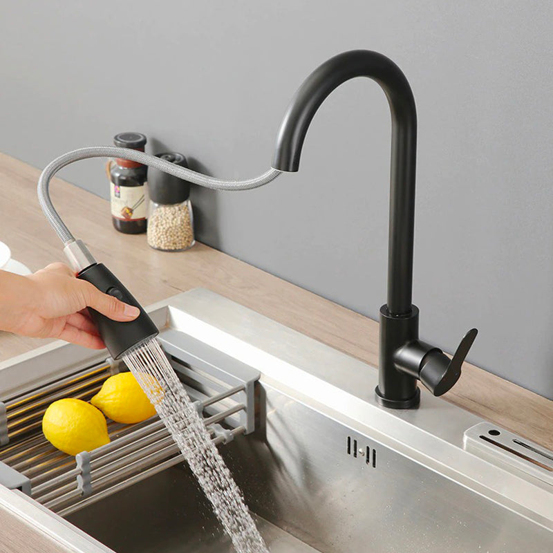 A Kitchen Faucet with a Pull-Down Sprayer Image