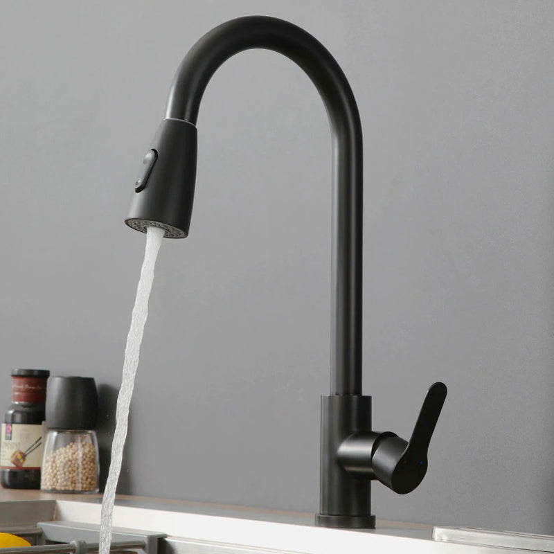 An Elegant Black Kitchen Faucet Image