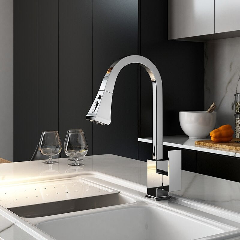 A Modern Chrome Kitchen Faucet Image