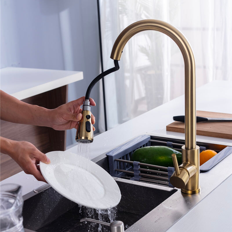 A Kitchen Faucet with a Pull-Down Sprayer Image
