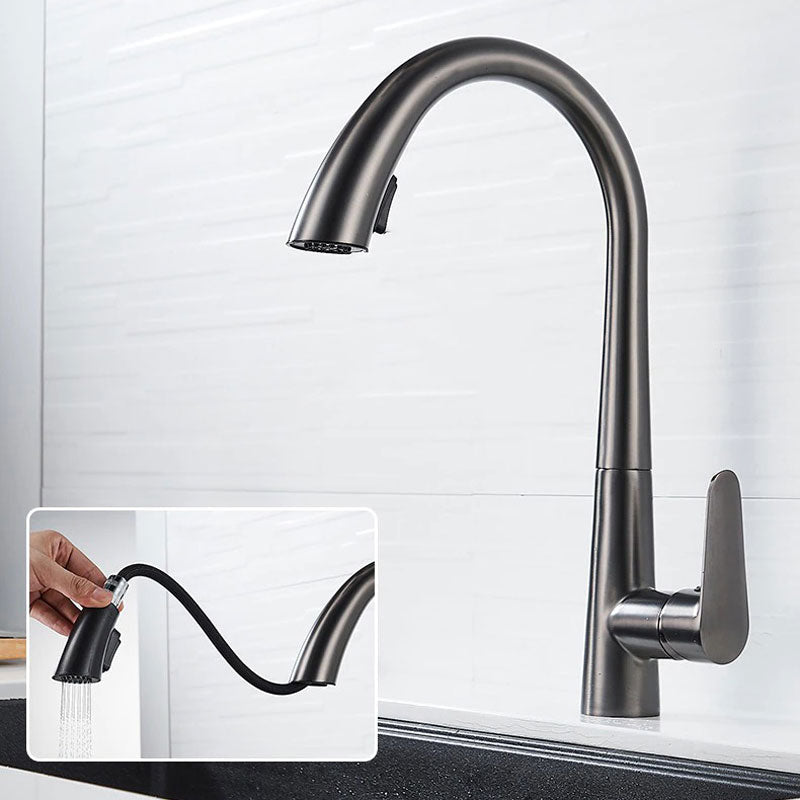 A Kitchen Faucet with a Pull-Down Sprayer Image