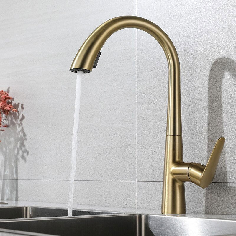 A Kitchen Faucet with a Pull-Down Sprayer Image