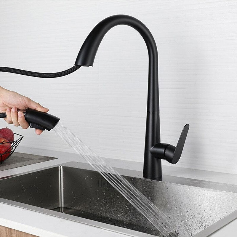 An Elegant Black Kitchen Faucet Image