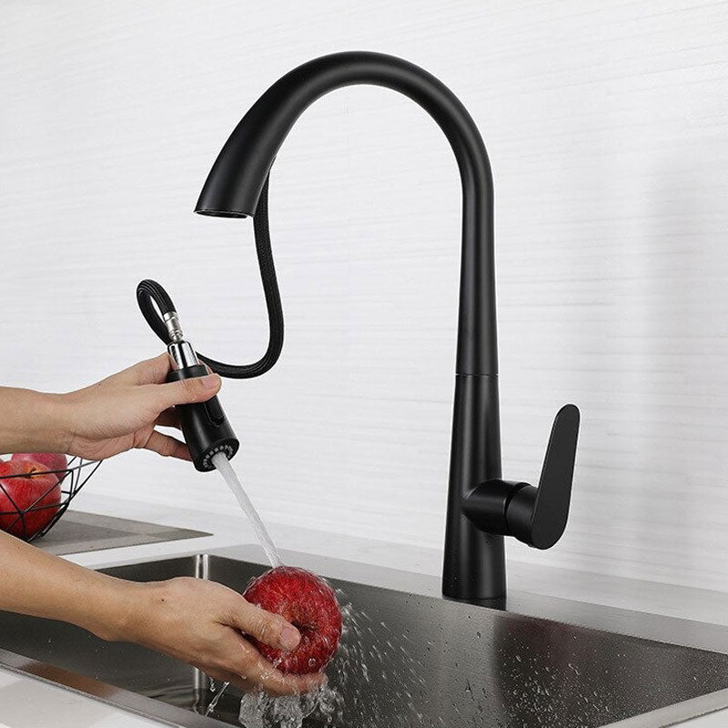 A Kitchen Faucet with a Pull-Down Sprayer Image