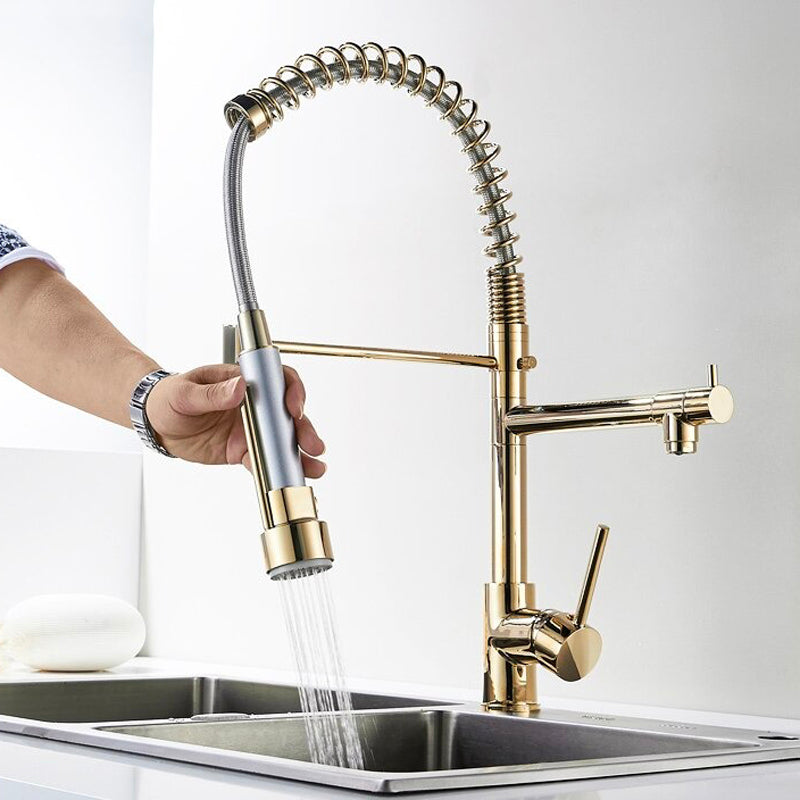 A Kitchen Faucet with a Sprayer Image